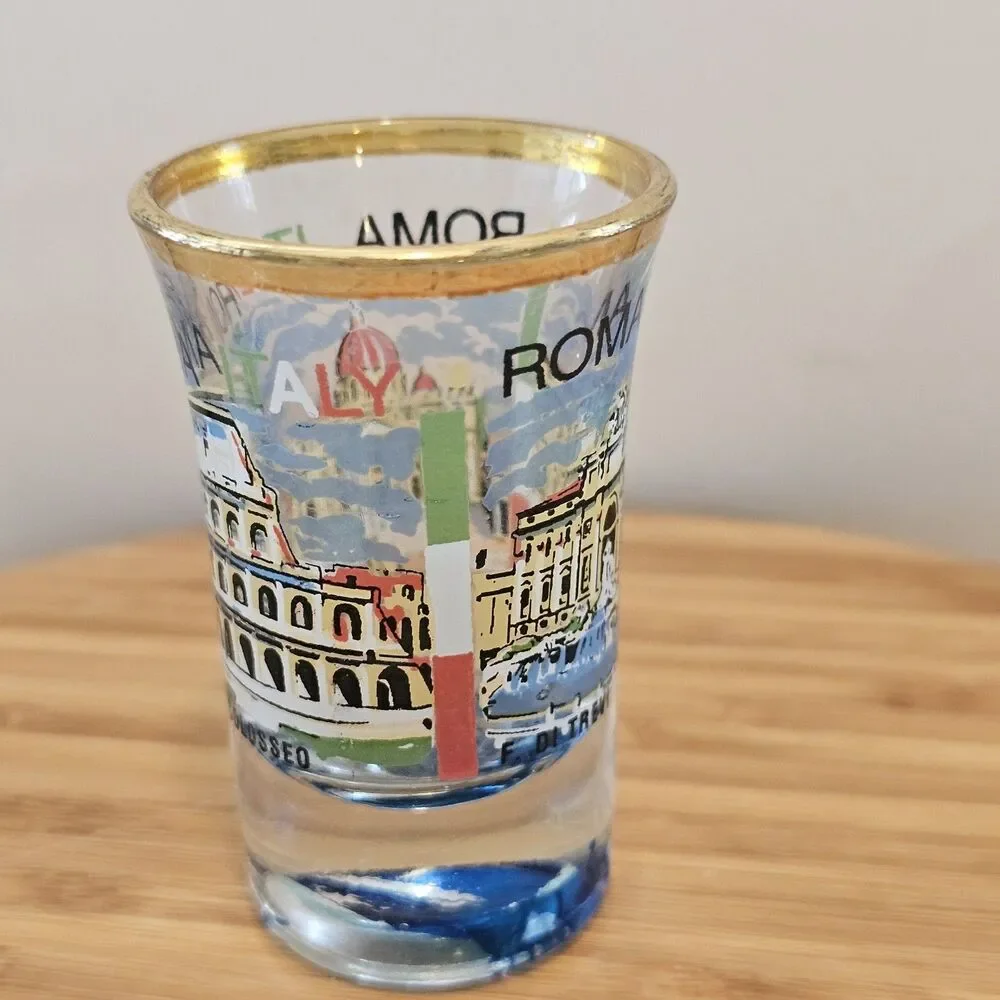 5 Shot Glasses, Rome, Belize, Floral, Florida, Dumb One ;)